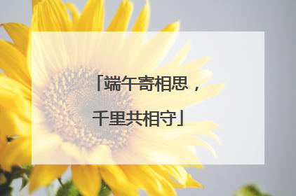端午寄相思，千里共相守