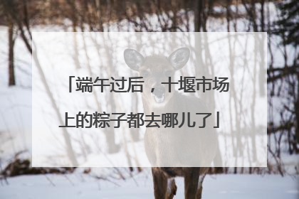 端午过后，十堰市场上的粽子都去哪儿了