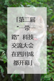 第二届“一带一路”科技交流大会在四川成都开幕