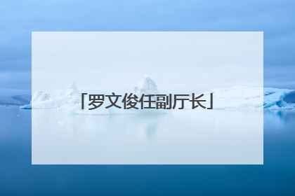 罗文俊任副厅长