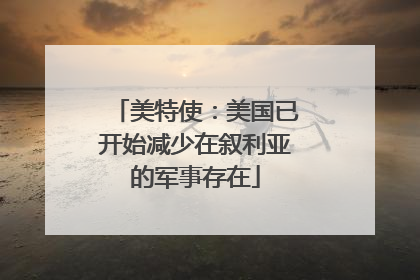 美特使：美国已开始减少在叙利亚的军事存在