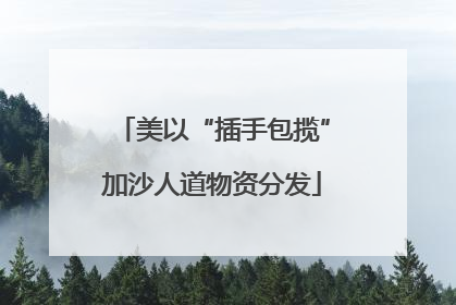 美以“插手包揽”加沙人道物资分发