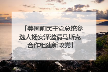 美国前民主党总统参选人杨安泽邀请马斯克合作组建新政党