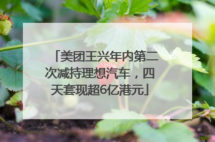 美团王兴年内第二次减持理想汽车，四天套现超6亿港元