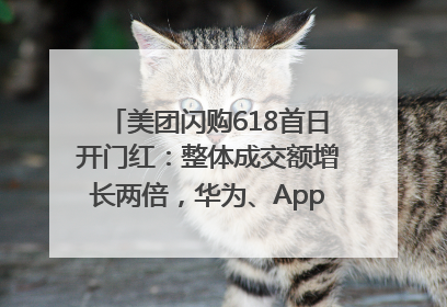 美团闪购618首日开门红：整体成交额增长两倍，华为、Apple、沃尔玛等近800个品牌翻倍增长