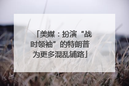 美媒：扮演“战时领袖”的特朗普为更多混乱铺路