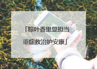 粽叶香里显担当 重症救治护安康