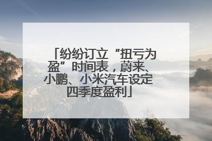 纷纷订立“扭亏为盈”时间表，蔚来、小鹏、小米汽车设定四季度盈利