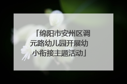 绵阳市安州区调元路幼儿园开展幼小衔接主题活动