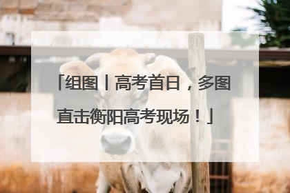 组图丨高考首日，多图直击衡阳高考现场！