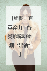 组图｜宜章莽山：各类珍稀动物频“出镜”