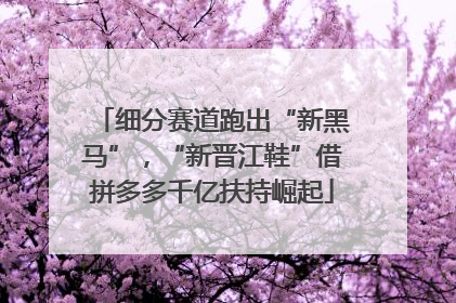 细分赛道跑出“新黑马”，“新晋江鞋”借拼多多千亿扶持崛起