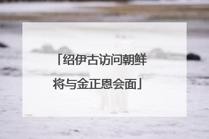 绍伊古访问朝鲜 将与金正恩会面