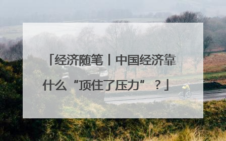 经济随笔丨中国经济靠什么“顶住了压力”？