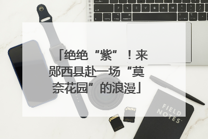 绝绝“紫”！来郧西县赴一场“莫奈花园”的浪漫