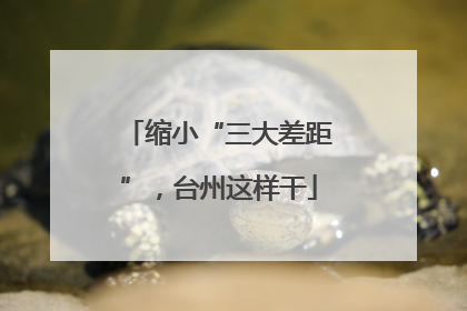 缩小“三大差距”，台州这样干