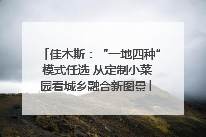 佳木斯：“一地四种” 模式任选 从定制小菜园看城乡融合新图景