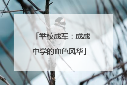 举校成军：成成中学的血色风华