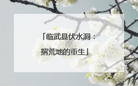 临武县伏水洞：撂荒地的重生