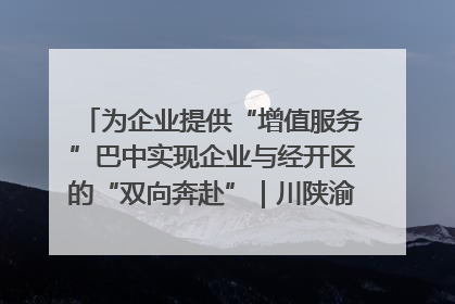 为企业提供“增值服务”巴中实现企业与经开区的“双向奔赴”｜川陕渝网络名人巴中行