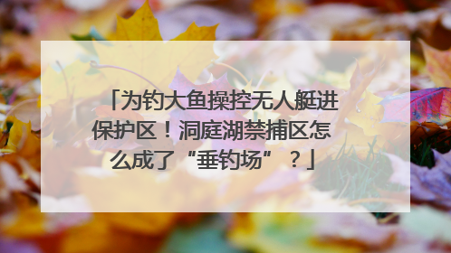 为钓大鱼操控无人艇进保护区！洞庭湖禁捕区怎么成了“垂钓场”？