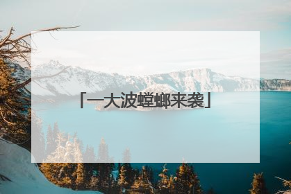 一大波螳螂来袭