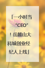 一小时当“CEO”！岳麓山大科城创业经纪人上线