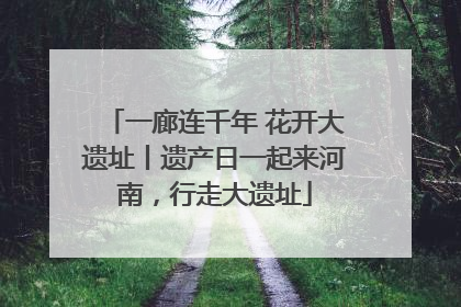一廊连千年 花开大遗址丨遗产日一起来河南，行走大遗址