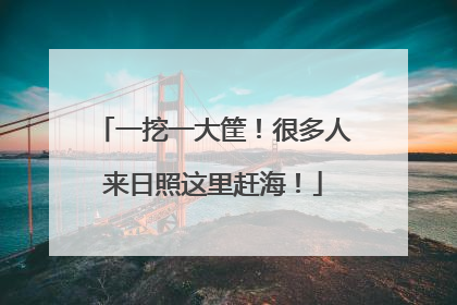 一挖一大筐！很多人来日照这里赶海！