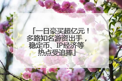 一日豪买超亿元！多路知名游资出手，稳定币、IP经济等热点受追捧