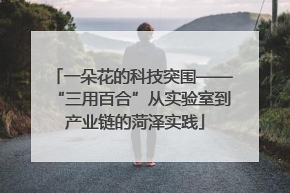 一朵花的科技突围——“三用百合”从实验室到产业链的菏泽实践