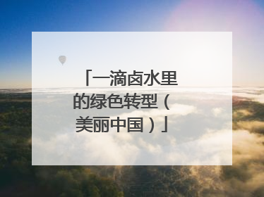 一滴卤水里的绿色转型（美丽中国）