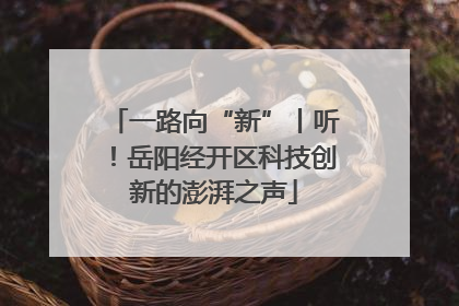 一路向“新”丨听！岳阳经开区科技创新的澎湃之声