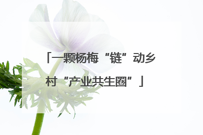 一颗杨梅“链”动乡村“产业共生圈”