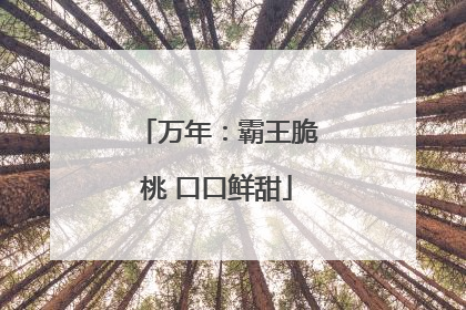 万年：霸王脆桃 口口鲜甜
