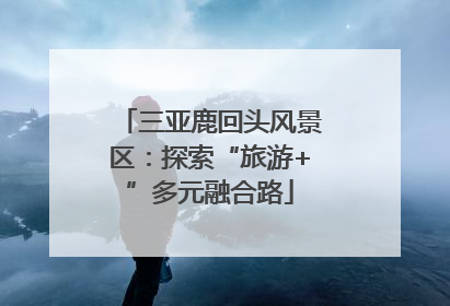 三亚鹿回头风景区：探索“旅游+”多元融合路