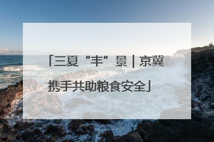 三夏“丰”景｜京冀携手共助粮食安全