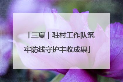 三夏｜驻村工作队筑牢防线守护丰收成果
