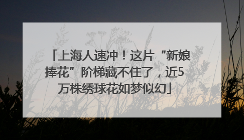 上海人速冲！这片“新娘捧花”阶梯藏不住了，近5万株绣球花如梦似幻