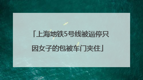 上海地铁5号线被逼停只因女子的包被车门夹住