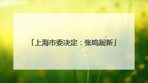 上海市委决定：张鸣履新
