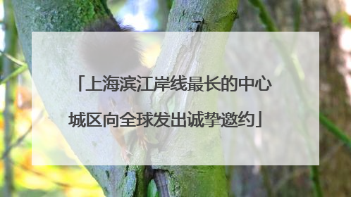 上海滨江岸线最长的中心城区向全球发出诚挚邀约