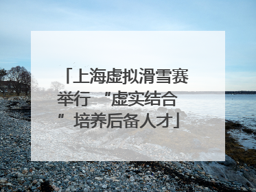 上海虚拟滑雪赛举行 “虚实结合”培养后备人才
