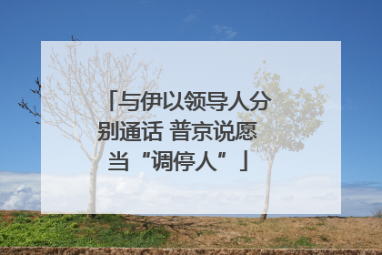 与伊以领导人分别通话 普京说愿当“调停人”