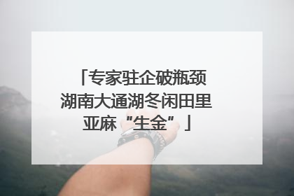 专家驻企破瓶颈 湖南大通湖冬闲田里亚麻“生金”