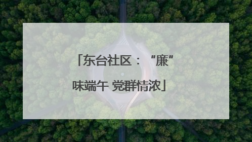 东台社区：“廉”味端午 党群情浓