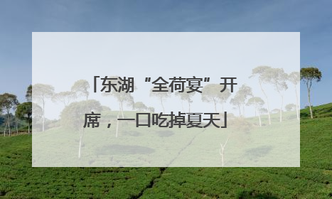 东湖“全荷宴”开席，一口吃掉夏天