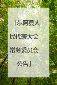 东阿县人民代表大会常务委员会公告