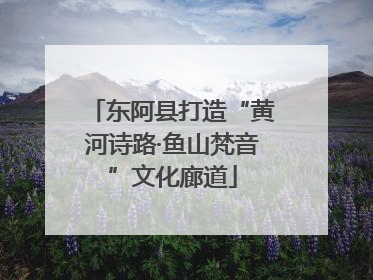东阿县打造“黄河诗路·鱼山梵音”文化廊道