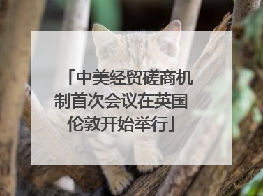 中美经贸磋商机制首次会议在英国伦敦开始举行